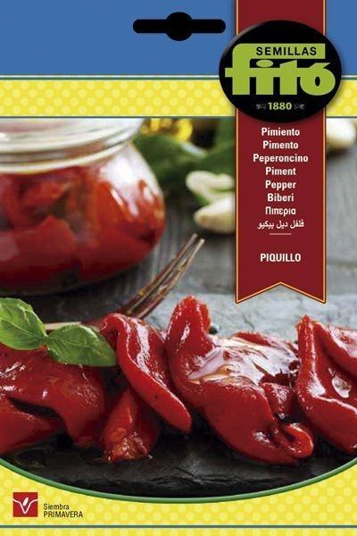 PIMIENTO PIQUILLO SUPERBOL