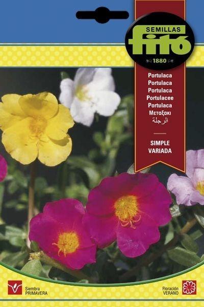 PORTULACA DOBLE VARIADA SUPERBOL