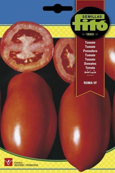 TOMATE ROMA VF SUPERBOL