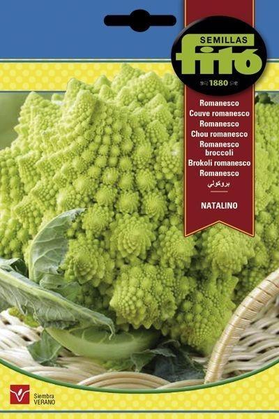 COLIFLOR ROMANESCO NATALINO SUPERBOL