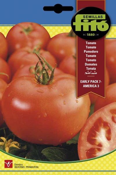 TOMATE AMERICA-3 SUPERBOL