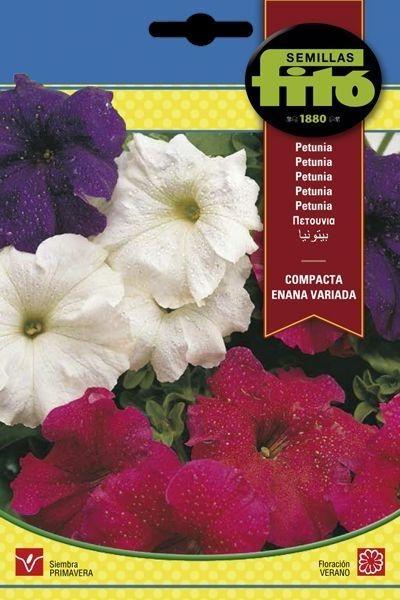 PETUNIA COMPACTA ENANA VARIADA SUPERBOL