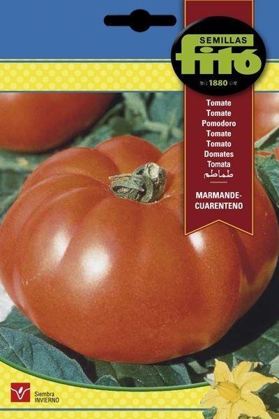 TOMATE MARMANDE CUARENTENO SUPERBOL