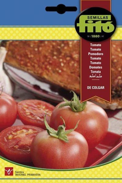 TOMATE DE COLGAR SUPERBOL