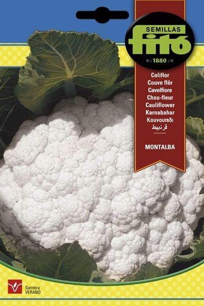 COLIFLOR MONTALBA SUPERBOL