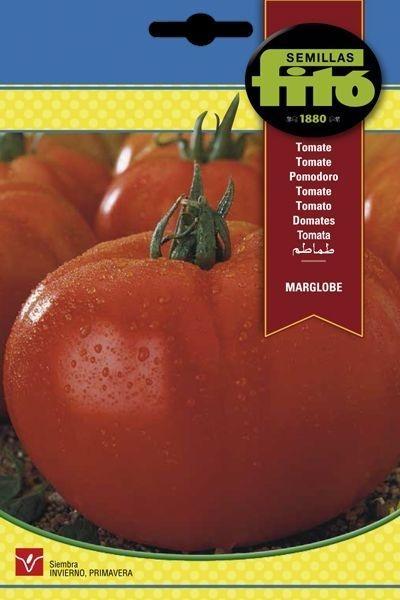 TOMATE MARGLOBE SUPERBOL