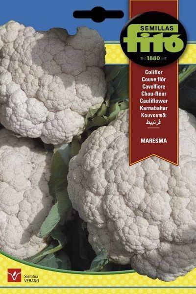 COLIFLOR MARESMA SUPERBOL