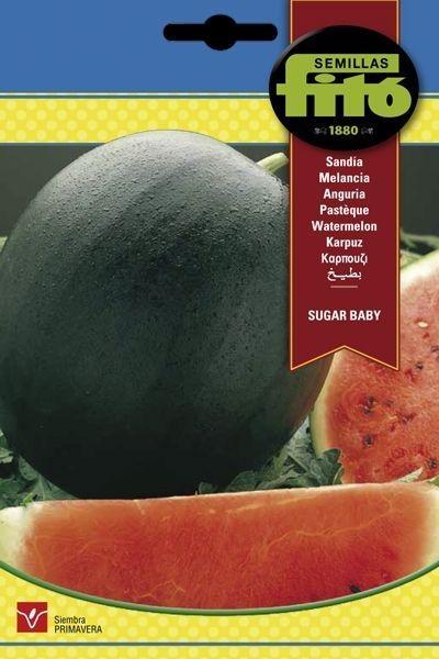 SANDIA SUGAR BABY SUPERBOL